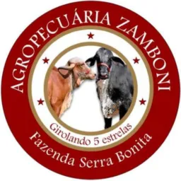 Clientes GRIFE Z