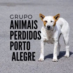 ANIMAIS PERDIDOS EM PORTO ALEGRE E REGIÃO METROPOLITANA ⏪🐕
