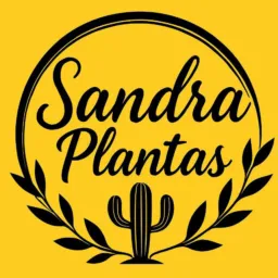 Sandra Plantas🌵🌻Tabira-PE