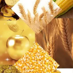 Eu sou solo fértil 🌽🌾