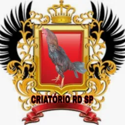 Criadores RD SP zl