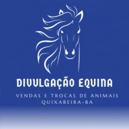Divulgação Equina Quixabeira-BA