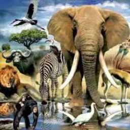 Aquarismo Primitivo & Animais 🐟🐍🐒🦆🪿🦅🐸🦉🐢🦎🐕