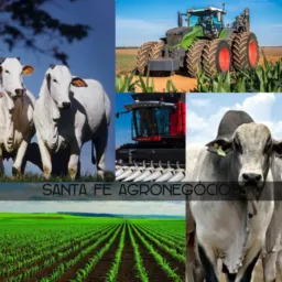 🌾🌱🌾AGRONEGÓCIOS🐂🐄🐃CMP&VND