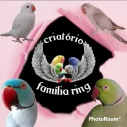 FAMILIA RING F.R🪶🦜