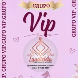Vips Laudicléia Perfumaria & Beleza