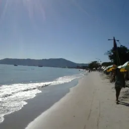 🌴Vendas canasvieiras e arredores🏖️