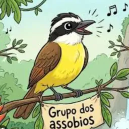 Assobio SJC 👀