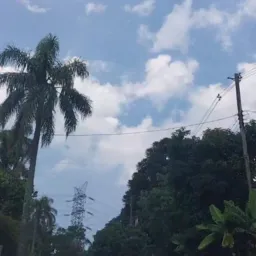 Apenas vendas e trocas ,Santa Inês,Sausalito, Vila Machado, Mairiporã e regiãos próximas