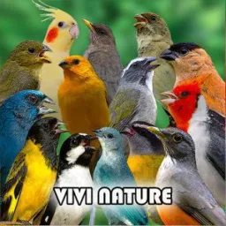 Grupo só para criadores de aves