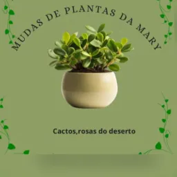 Promoção das plantas sábado e domingo