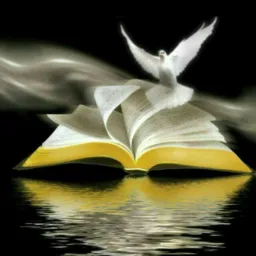 📖BÍBLIA EM FOCO📖