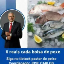 5 Jd alvorada Projeto inteligente de peixe e frutas