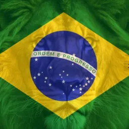 Vendas Brasil