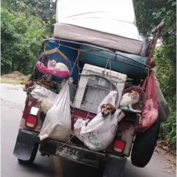 Bazar de vendas Santa Cruz do Capibaribe com DDD 81 e 83