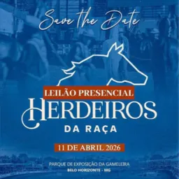 Notícias leilão Herdeiros da Raça- Dot / Giro Marchador