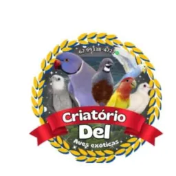 AVES EXÓTICAS DE APARECIDA DE GOIÂNIA
