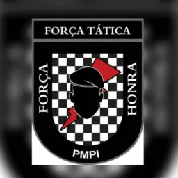 🚨🚨FORÇA TÁTICA PI/MA💀💀