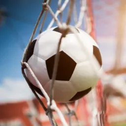 🎯Competições da copa🎯