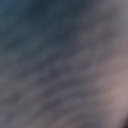 Negócio vendas sucunduri