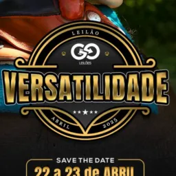 🥈LEILÃO VERSATILIDADE