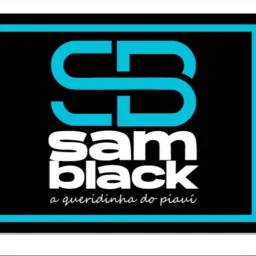RESENHA SAMBLACK.