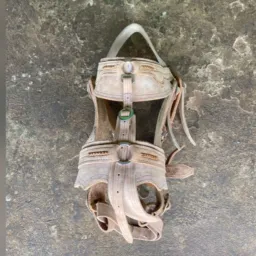 Rifa de uma cabeçada Mateira ✅