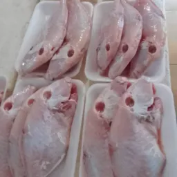 CAMARAO FRESCO E PEIXE 3