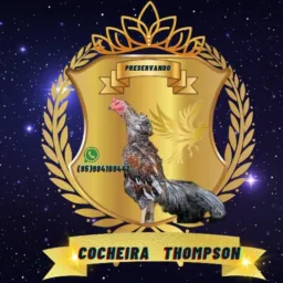 COCHEIRA THOMPSON OFICIAL