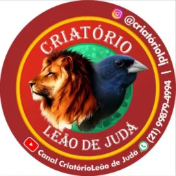 CRIATÓRIO LEÃO DE JUDÁ 🦁🚀
