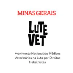 LUTE VET MG