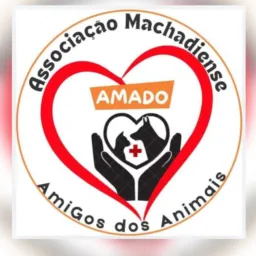 Bazar e Rifa Amado🐾🐈⬛🐕
