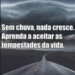 Compras e vendas em santa Inês