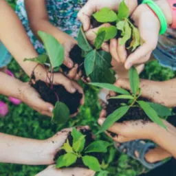 DESENVOLVIMENTO E SUSTENTABILIDADE