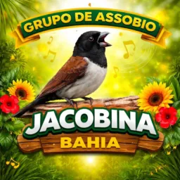 Grupo de assobio