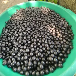 açaí da Bruna😻🫐
