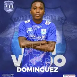 Tudo nosso