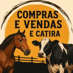 Compras e vendas e catira