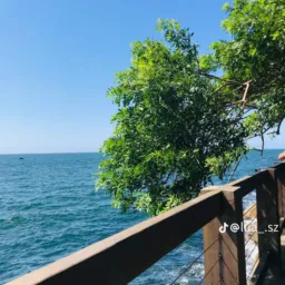 Rochinha Encantos do Ceará