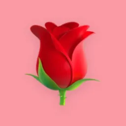 Conexão Feminina 🌹