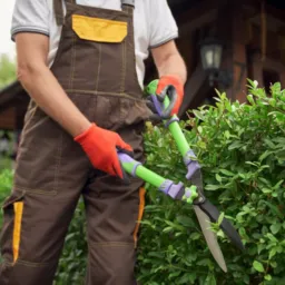 CONTRATO DE PRESTAÇÃO DE SERVIÇOS DA ESTIMA JARDINAGEM (01)💐🌹🌳🌿