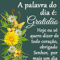 N.VIÇOSA VENDAS e Noticia