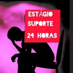 ESTÁGIO - SUPORTE 24 HS