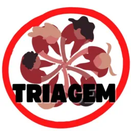 👥TRIAGEM 𝐌𝐐𝐂👑
