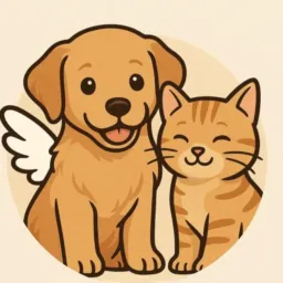 AMANTES DE 4 PATAS 🐾 🐱🐕‍🦺🐩VENDAS ENTRE OUTROS DOAÇÕES DE 🐱 E 🐕  DE ARAQUARI, S.F DO SUL E BAIRROS🐶🐱🐰🐹🐥
