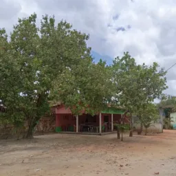 sítio ouro Verde 🌳🌴🌲
