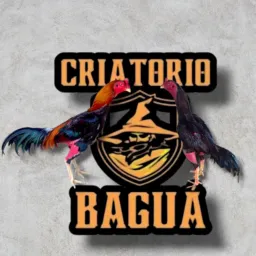 CRIATÓRIO Baguá 🤠