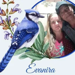 Rifas da Evanira