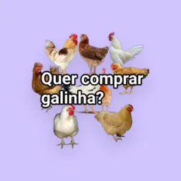 Venda de galinha e animais e coisa da roça .