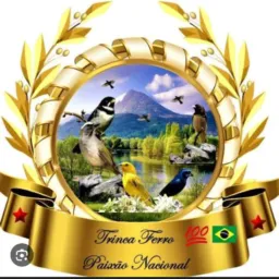 Grupo de aves de Ipsep região